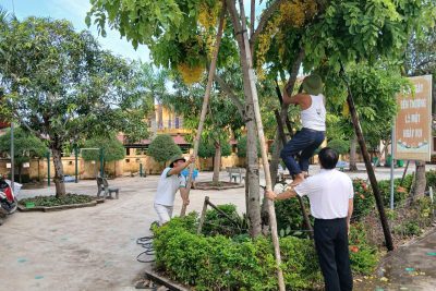 Trường Tiểu học Hải Hòa ứng phó với cơn bão số 3 Wipha.