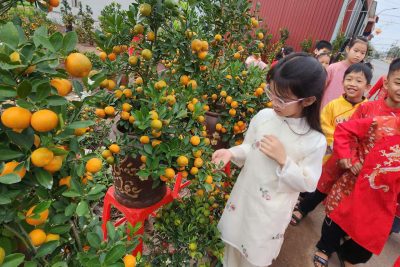 Hoạt động trải nghiệm “Ngày Tết quê em” – Xuân Bính Ngọ 2026 của Trường Tiểu học Hải Hòa